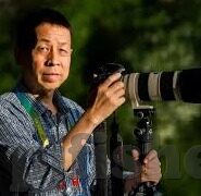 大象视频免费安卓版-探索大象视频免费安卓版，便捷观影新选择