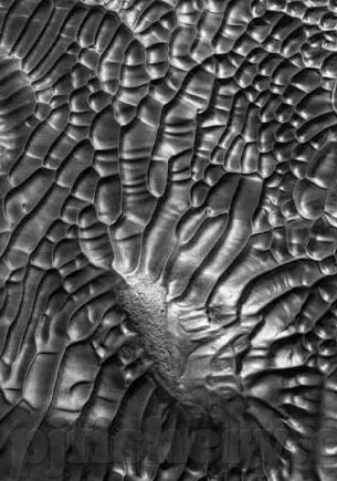 麻d传媒2022国产大象-麻d传媒2022国产大象，探索国产影视的多元化与文化自信