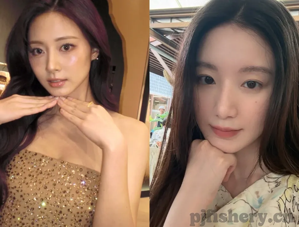 麻豆传媒女-文明社会下的娱乐界限，对麻豆传媒女现象的理性审视