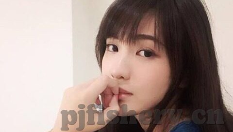 手机免费的成人在视频-免费成人视频内容在手机上的兴起与影响