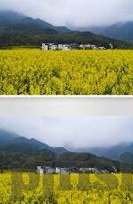 糖心app软件下载安卓-阅读无忧，糖心App安卓版下载指南